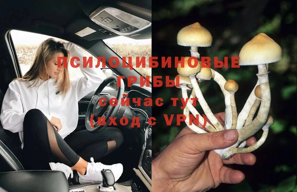 apvp Пересвет