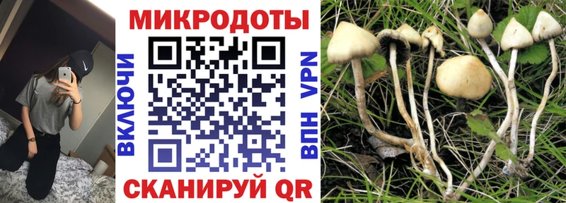 Галлюциногенные грибы прущие грибы  закладка  Рузаевка 