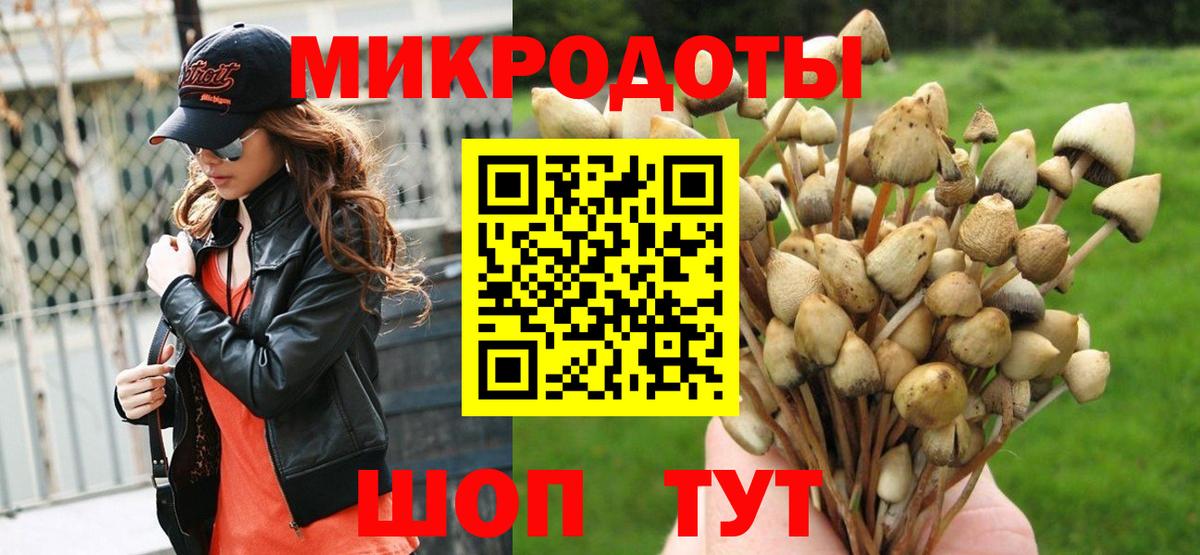 Псилоцибиновые грибы MAGIC MUSHROOMS Рузаевка