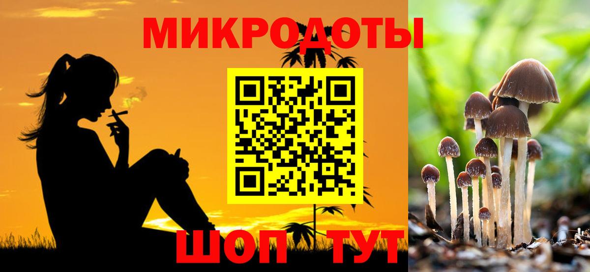 Галлюциногенные грибы Magic Shrooms  Вход с VPN  Псилоцибиновые грибы GOLDEN TEACHER  Рузаевка 